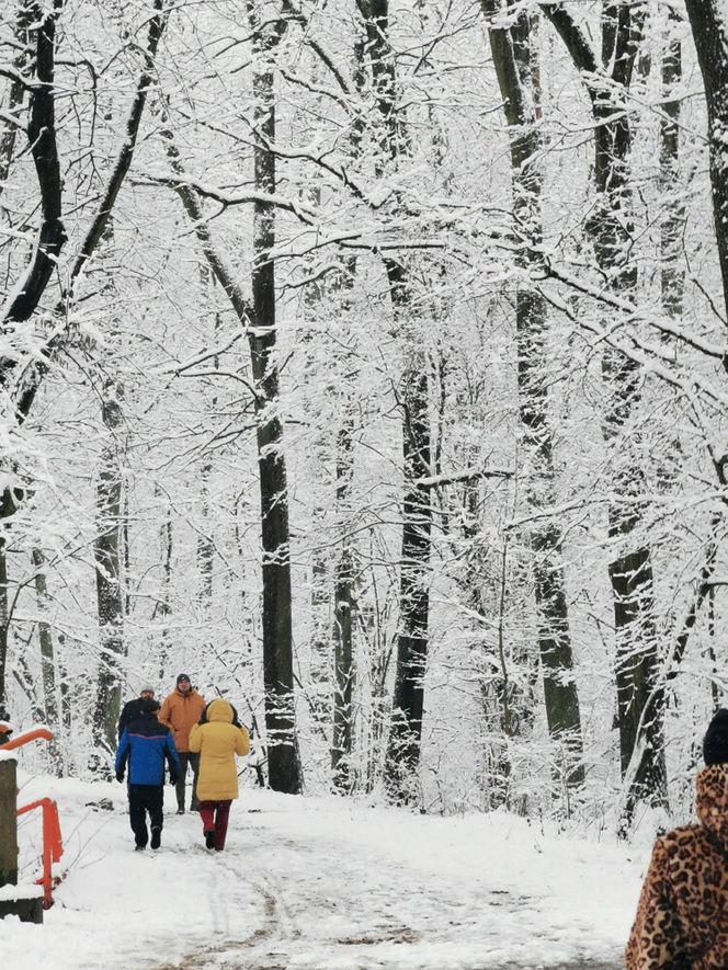 To polskie miasto bije rekordy popularności wśród turystów. W lutym otworzy się tu jeden z największych parków rozrywki w Europie