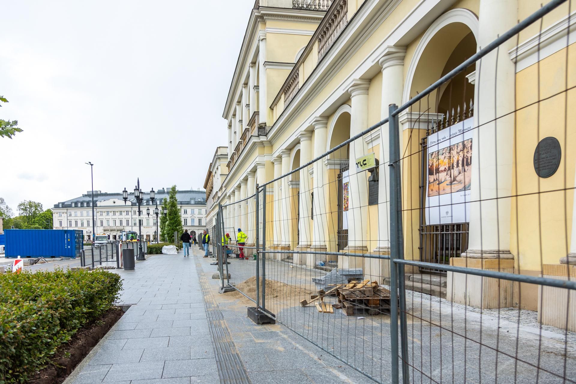 Sadzenie zieleni na placu Bankowym w maju 2025 r.