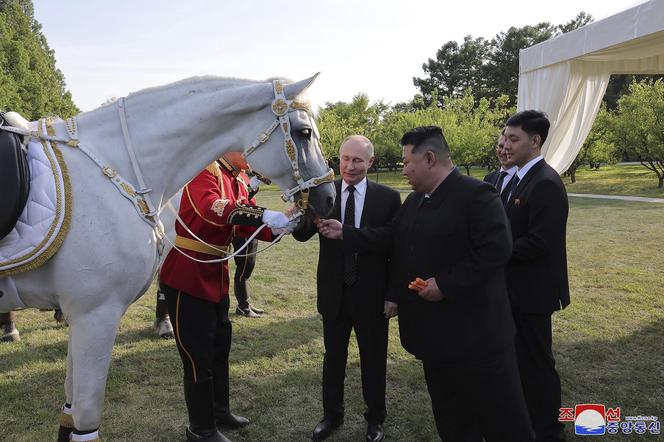  Ten portret Putina wygląda jak z cmentarza!