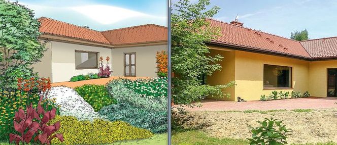 Rośliny na słoneczny taras