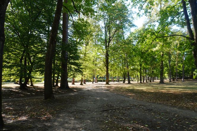 Park Konstytucji 3 Maja