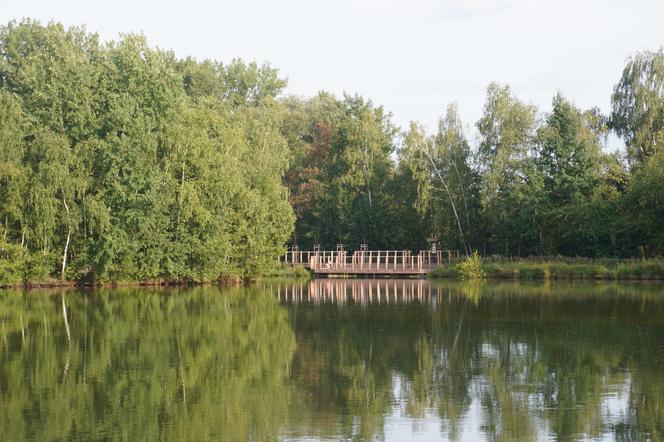 Park Leśny Tetmajera w Bronowicach