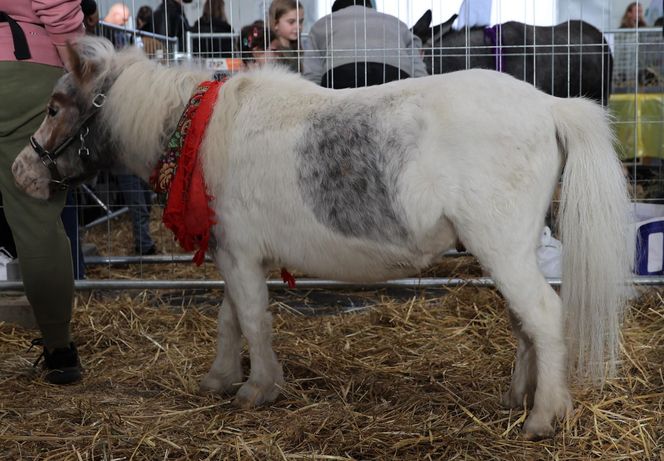 ZooPark ponownie przyciągnął do Targów Lublin tłumy miłośników zwierząt