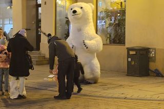 Biały Miś na toruńskiej starówce