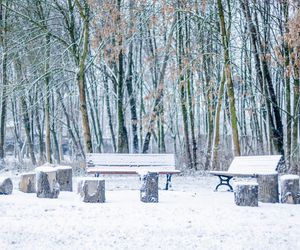 Śnieżyce i całodobowy mróz powracają. Konkretna data