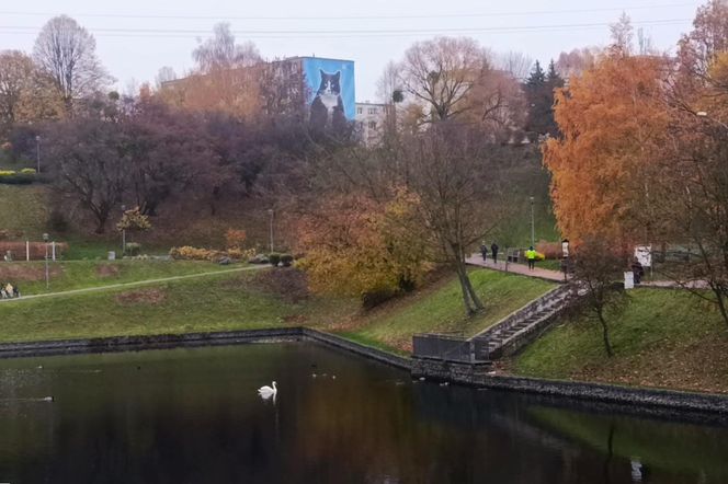 Mural z kotem Gackiem już odsłonięty