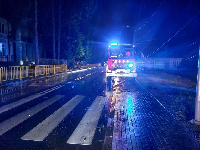 W Samborcu konar drzewa spadł na samochód. Jedna osoba ranna