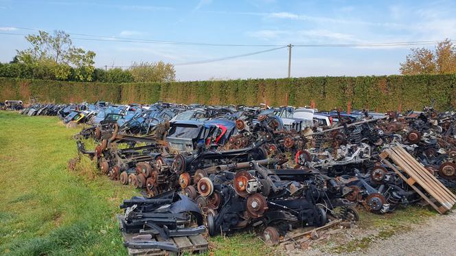 Potężny magazyn kradzionych części! Są warte pół miliona