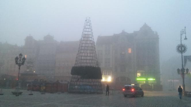 Wrocław: Na rynku stawiają już Jarmark Bożonarodzeniowy i choinkę. Kiedy drzewko się zaświeci? [WIDEO, ZDJĘCIA, AUDIO]