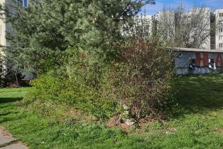 92-letnia Maria z Warszawy ofiarą bestialskiego ataku. „Zrujnował kobiecie starość za 300 zł”