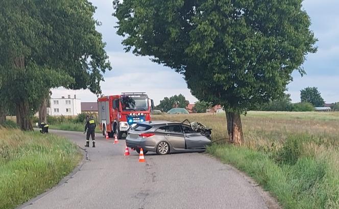 Pijany i bez prawa jazdy wsiadł za kółko! Rozbił się na drzewie pod Kamieniem Krajeńskim [ZDJĘCIA]