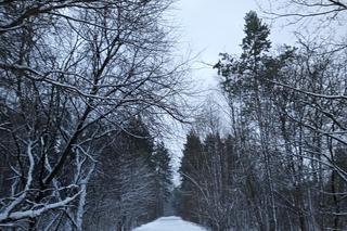 Zimowe krajobrazy na pograniczu Skarżyska i Suchedniowa