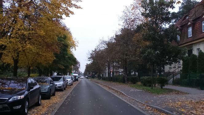 Powstała wyjątkowa aplikacja "Bydgoskie Przedmieście". Tego jeszcze nie było!