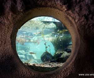 Dni Odry we wrocławskim zoo