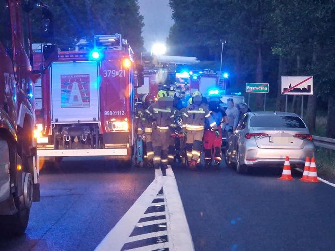 Przytoczna. Śmiertelny wypadek na DK 24. 49-latek nie żyje [ZDJĘCIA].