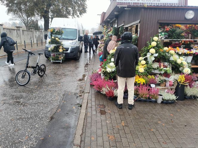 Wszystkich Świętych 2024. Sprawdź, ile kosztują kwiaty i znicze w Łodzi