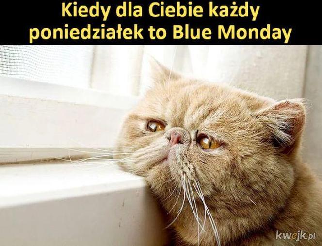 Najlepsze memy o Blue Monday