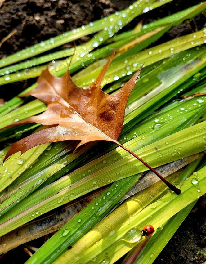 Światowy Dzień Fotografii. Z tych fotek są dumni nasi Czytelnicy! ZOBACZ