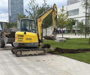 Absurd roku w Warszawie. Zrywają zieleń na nowym pl. Centralnym. Zamiast niej będzie beton
