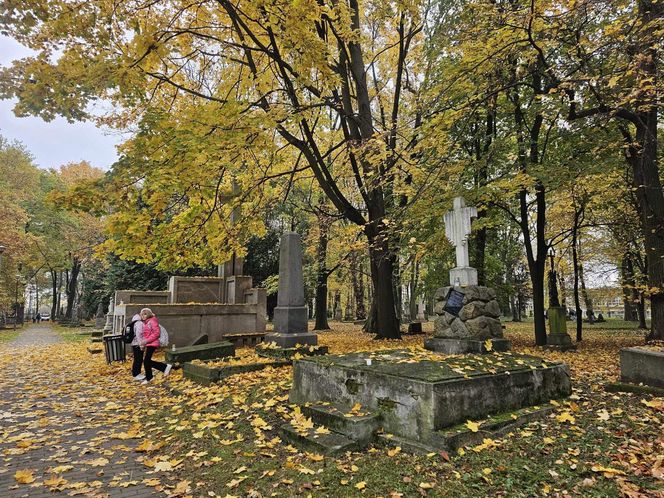 Jak wygląda najstarszy cmentarz w Rzeszowie przed 1 listopada