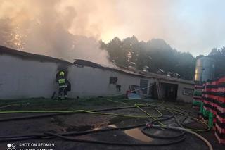 W Ćmińsku pali się kurnik