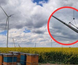 Na Śląsku stanęła nowa farma wiatrowa. Wiemy, kiedy zacznie dostarczać prąd mieszkańcom