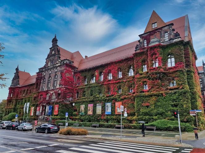 Tutaj złota polska jesień jest najpiękniejsza! Muzeum Narodowe we Wrocławiu aż lśni! [ZDJĘCIA]