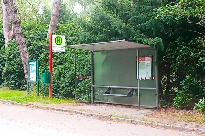 Ohlsdorfer Friedhof w Hamburgu