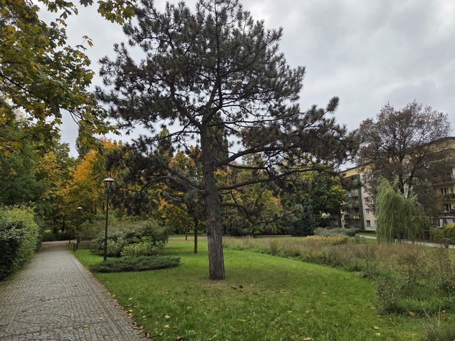 Krypta odkryta podczas rewitalizacji parku w Bydgoszczy. „Nie będziemy w żaden sposób ingerować”