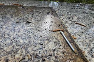 Akt wandalizmu na Cmentarzu Wojennym w Kołobrzegu