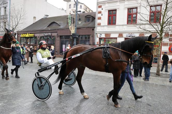 WOŚP 2024. Wielka szarża na Piotrkowskiej