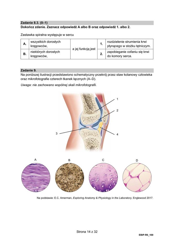 Matura 2025: biologia 9.05.2025. Arkusze CKE i odpowiedzi [Formuła 2015]