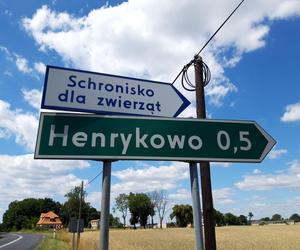 Pokochać na zawsze. Schronisko dla bezdomnych zwierząt w Henrykowie koło Leszna