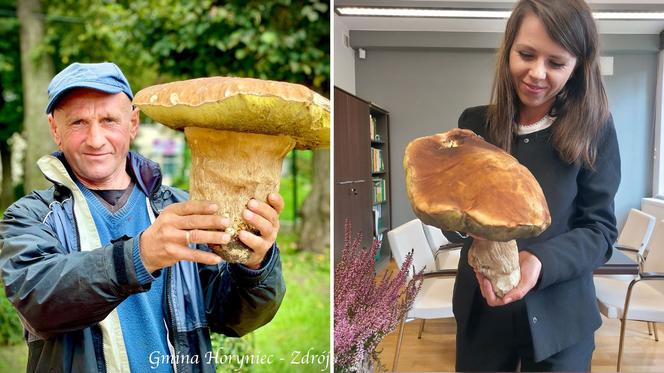 Grzyby giganty znalezione na Podkarpaciu. Prawdziwek waży ponad 2 kilogramy!