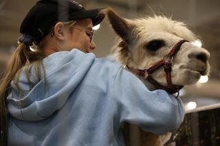 Zoopark 2023 w Lublinie