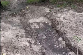 Urządzili sobie tor przeszkód w zabytkowym parku