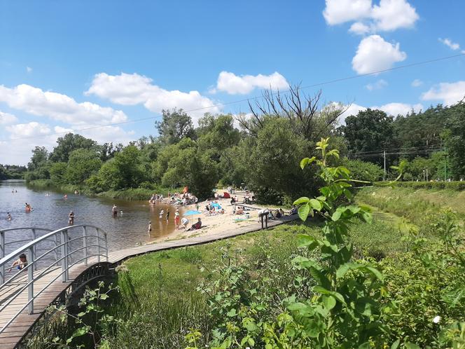 Park Dolina Wkry w Pomiechówku - spacer w koronach drzew, place zabaw, plaża