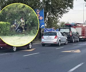 Potworny wypadek w Płocku. Wypadli z drogi, uderzyli w drzewo. Dwoje ludzi spłonęło w samochodzie	