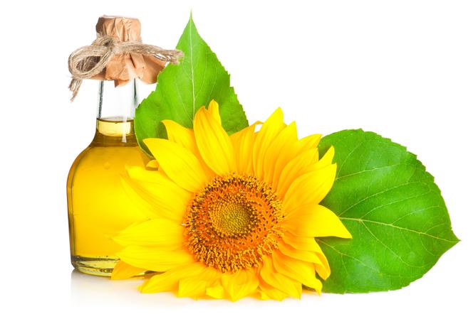 Olej słonecznikowy - właściwości zdrowotne