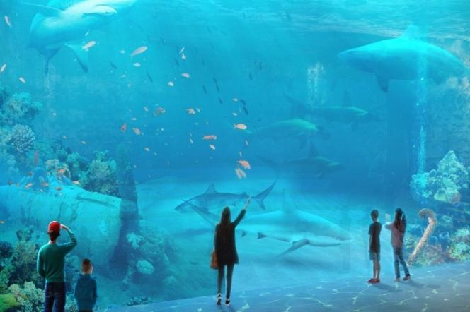 Co kryje się w podziemiach łódzkiego Oceanarium? 