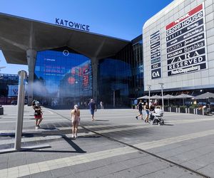 Katowice jak patelnia. Obowiązuje ruch cieniostronny. Nawet gołębie chowają się w cieniu