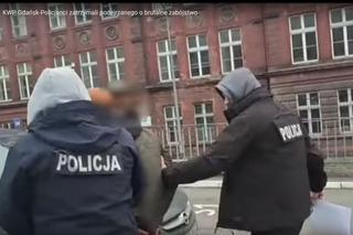 Brutalny mord na działkach w Rumi. Zabił go siekierą i próbował ukryć zwłoki