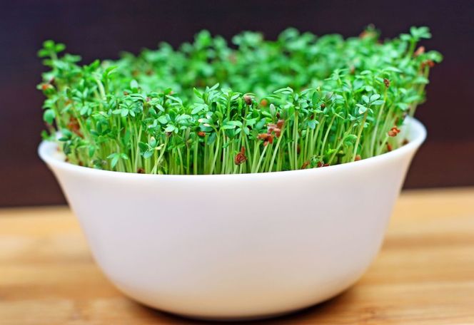 Rzeżucha – cenne źródło witamin i mikroelementów