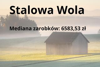 W tych gminach na Podkarpaciu zarabia się najwięcej 