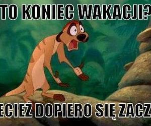 Memy na koniec wakacji