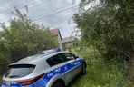 Dziewięć szczeniąt uratowanych. Wspólna akcja policji i schroniska 