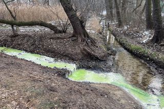 To nie film science-fiction. Tak wygląda rzeka pod Krakowem  