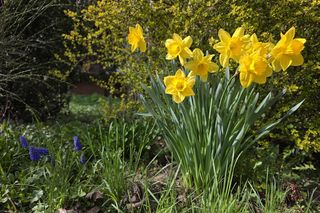 Wiosna walczy z zimą