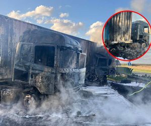 Tragiczny karambol na A1! Zderzyły się ciężarówki i bus, jedna osoba nie żyje