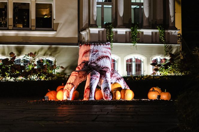 Willa na Jaśkowej Dolinie w Gdańsku